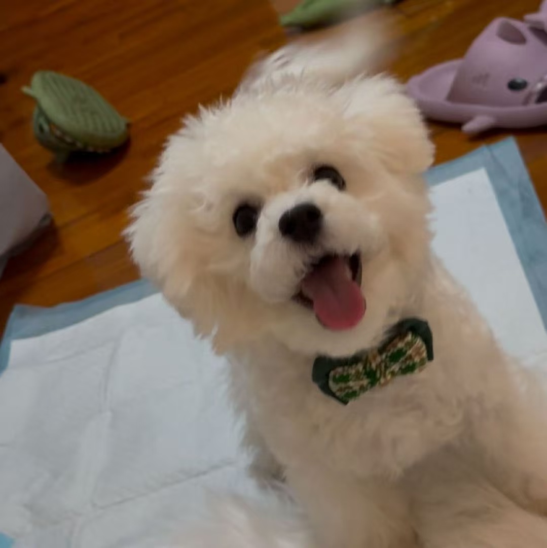 蛋壳family档案图片7